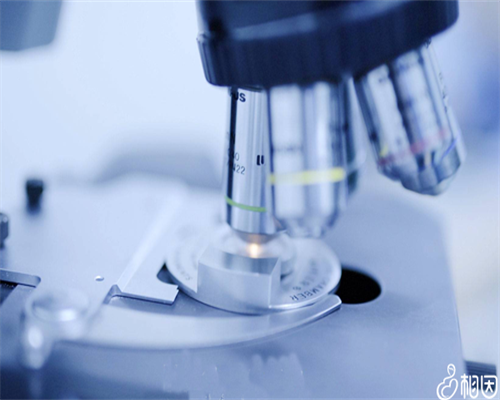 武汉供卵服务中心,武汉协和医院三代试管婴儿费用多少？武汉输卵管粘连有什