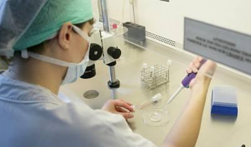 武汉代怀价格,武汉同济做试管婴儿(武汉同济试管婴儿)