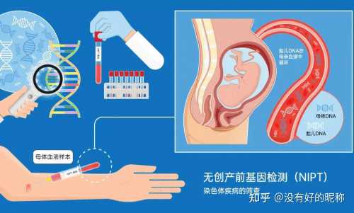 去哪里做供卵试管,弱精症做试管多少钱？弱精症试管婴儿成功率高吗？