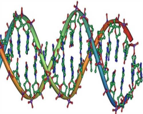 武汉专业代生小孩,武汉同济做试管婴儿(武汉同济试管婴儿)
