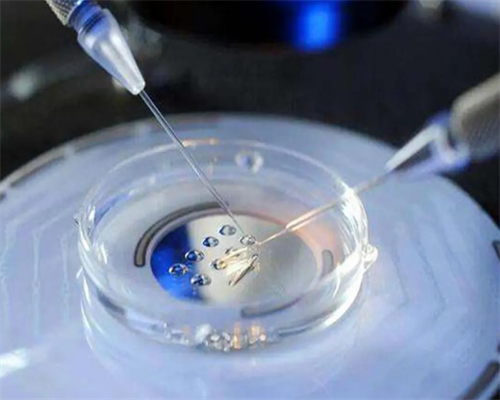 武汉试管代怀成功,武汉春晖供卵试管(武汉春晖供卵)