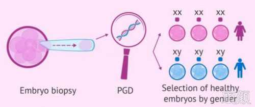 供卵机构,邵阳52岁做三代试管的哪个费用更高？附最新步骤及费用分析