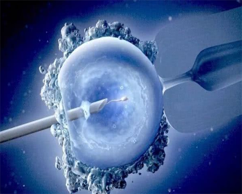 助孕包成功多少钱|南宁助孕公司，南宁试管婴儿的具体步骤