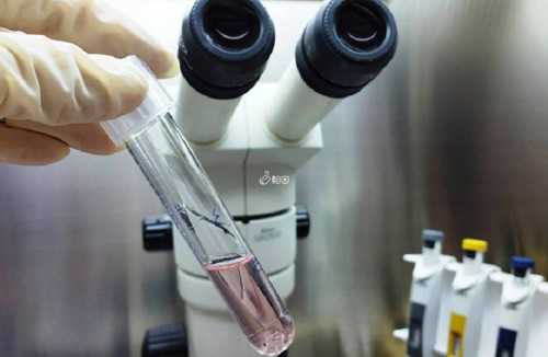 武汉借卵生子好吗,武汉供卵试管哪里做得好,武汉供卵试管中心