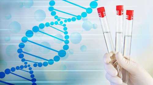 武汉试管代怀男孩,武汉协和做试管费用(武汉协和2026试管费用)