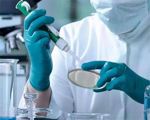 武汉借卵生子自怀,武汉供卵中介(武汉供卵试管中介)