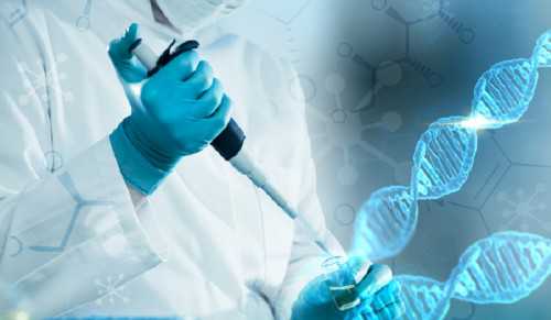 武汉一般医院代孕费用,武汉能做试管的正规医院,武汉试管婴儿医院