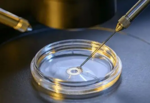 武汉有偿代怀网,武汉能做试管的正规医院,武汉试管婴儿医院