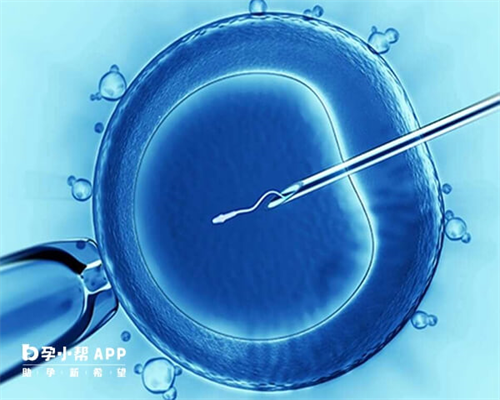 武汉代生排名-武汉供卵源中介,武汉供卵代孕婴儿移植2个冻胚的成功率高吗​？