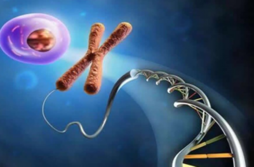 武汉仁济和集美哪个做三代试管婴儿好？成功率哪家高？