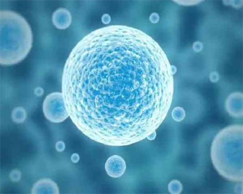 武汉代孕套餐价格,武汉同济试管费用(武汉做试管大概费用)