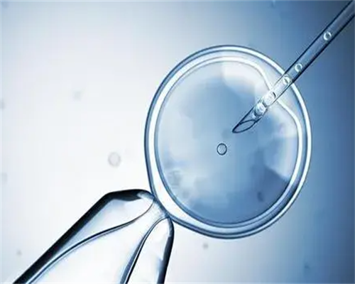 武汉供卵取几个,武汉捐卵供卵地点