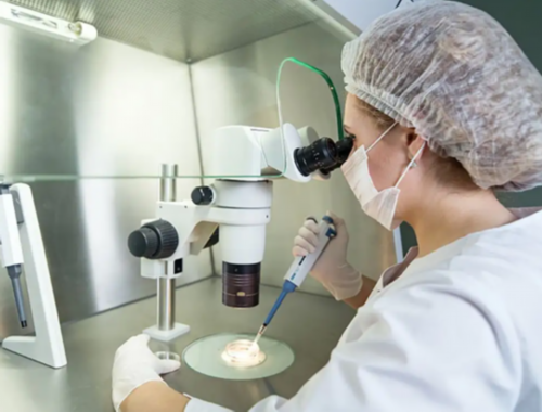 武汉代怀孕价格表,武汉同济医院-武汉试管婴儿收费标准