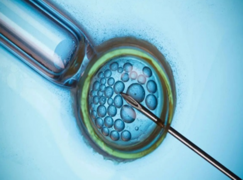 武汉有供卵不成功的吗多少钱,武汉65万包成功