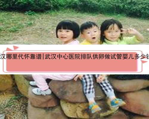 武汉哪里代怀靠谱|武汉中心医院排队供卵做试管婴儿多少钱?