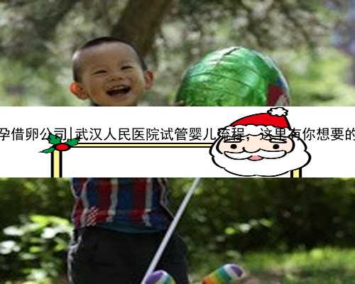 武汉助孕借卵公司|武汉人民医院试管婴儿流程，这里有你想要的答案！